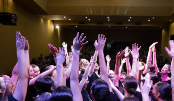 ARTE EM MOVIMENTO: Apoie artistas Madazers