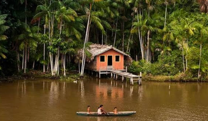 Projeto Amazônia