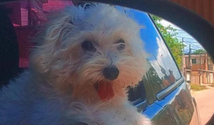 Arrecadação para a internação de Mary Jane