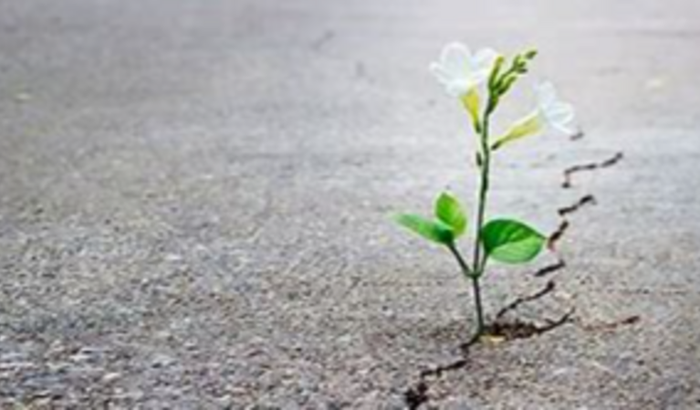 Continuar no caminho certo 