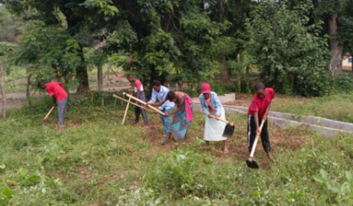 🌱 Ajude a Cultivar o Futuro das crianças na África 🌱
