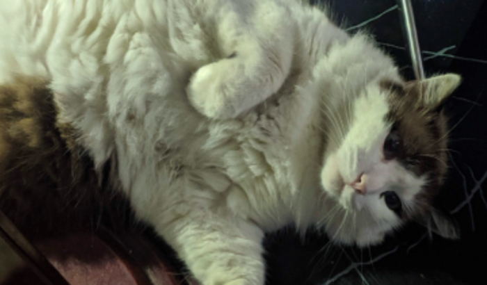 Ajuda para o Fredinho