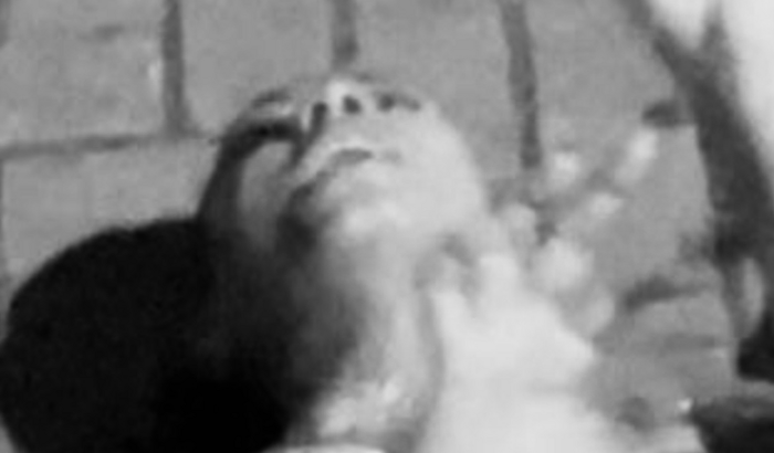 Ajude a clara a pagar a conta de luz