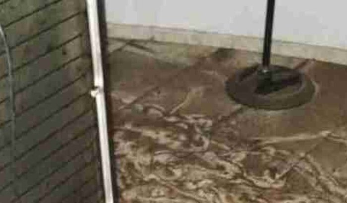 Reerguendo sonhos: Apoie meu negócio após a enchente 