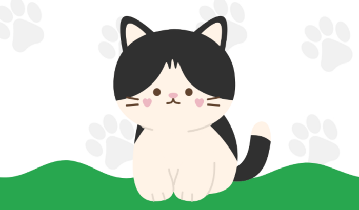 CONTINHA DO VETERINÁRIO ♡