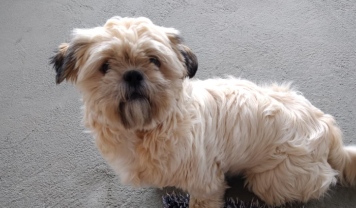 Ajude a Mel a voltar a comer sem sentir dor!!