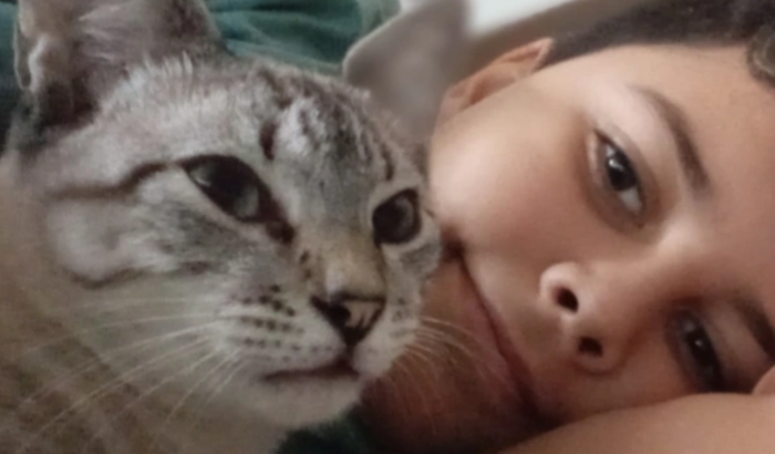 Salva o gatinho do meu filho que partiu e nos deixou ele pra cuidarmos 