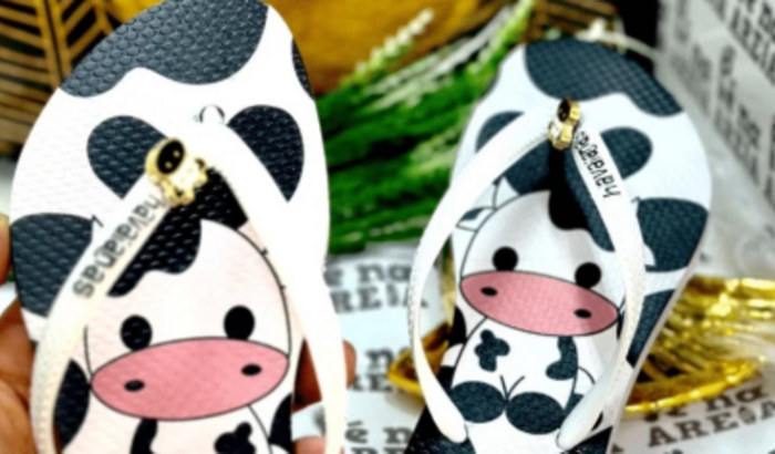 Um chinelo novo para o Vagner