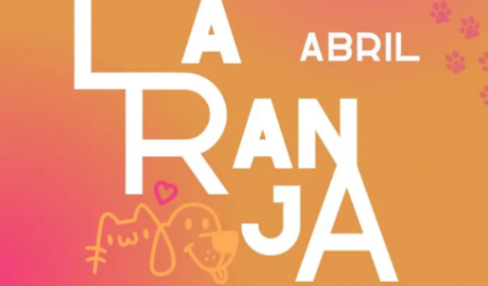 Ajuda para custear o tratamento de animais de rua