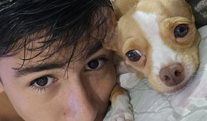 Ajudem a aumentar as plaquetas da Cacau