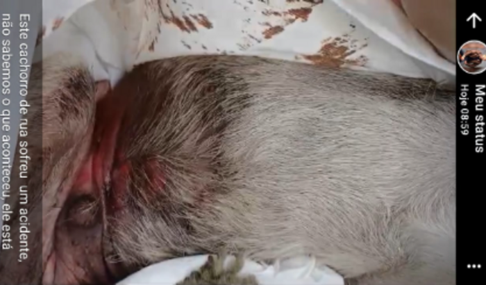 Ajuda no tratamento do Hulk