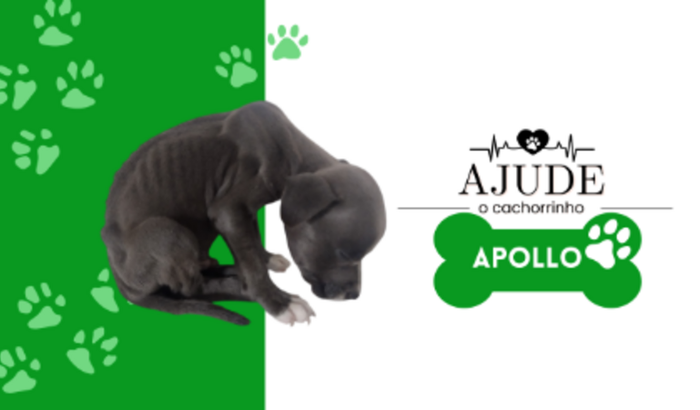 Ajude o Apollo