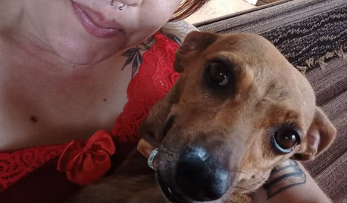 Uma bipolar e seus 15 pets