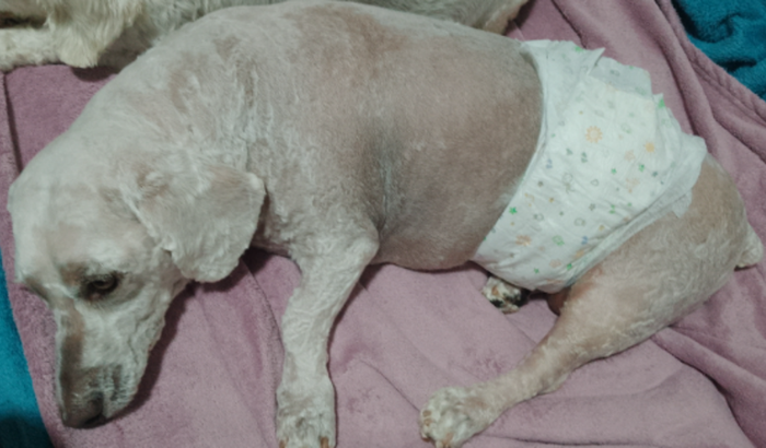 Fisioterapia do Eduardo