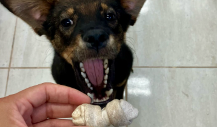 Vaquinha solidária Jorel