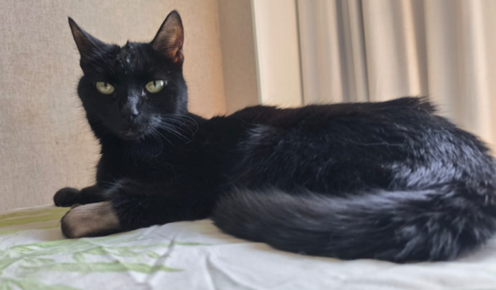 Me ajude a tratar um câncer!