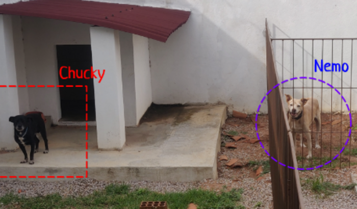 Tratamento de Chucky