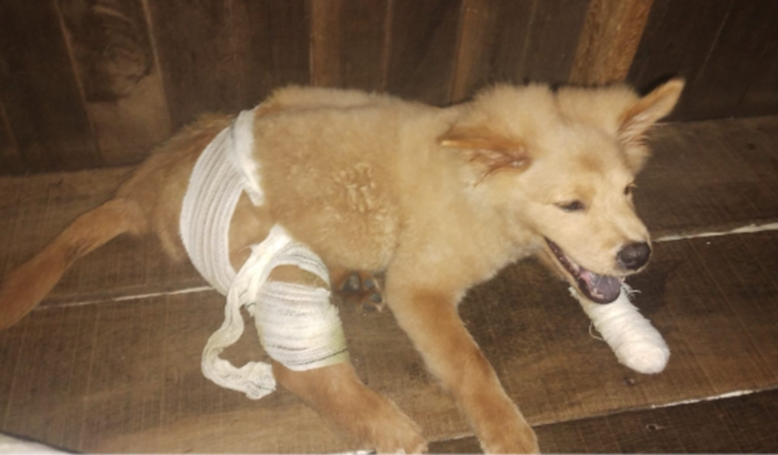 Ajudar a comprar uma cadeira de rodas proTUFÃO 