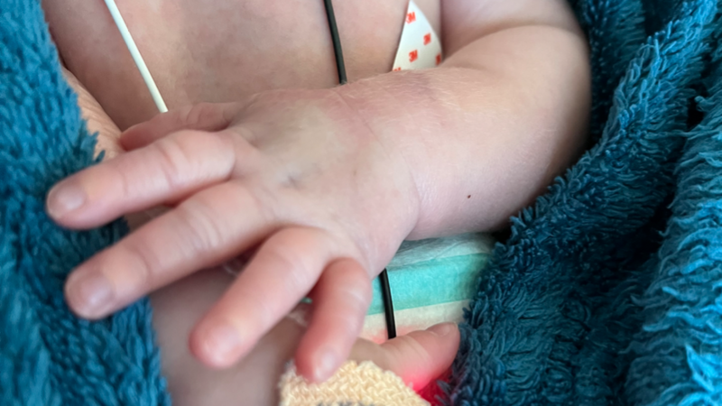 Meio coração, mas uma vida inteira para Lulu! 💖