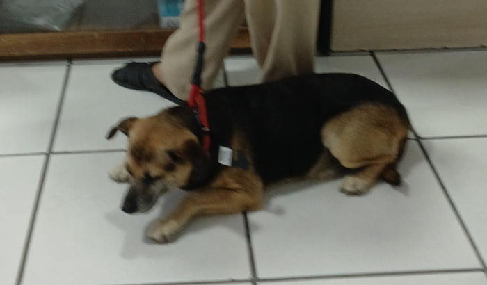 Vaquinha solidária para ajudar o max