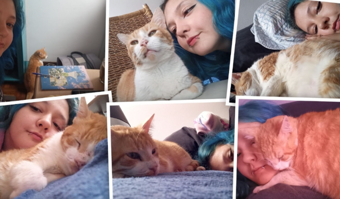 Ajuda para salvar meu melhor amigo