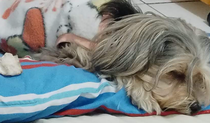 Uma luta pela vida:Ajude me a vencer essa batalha! 