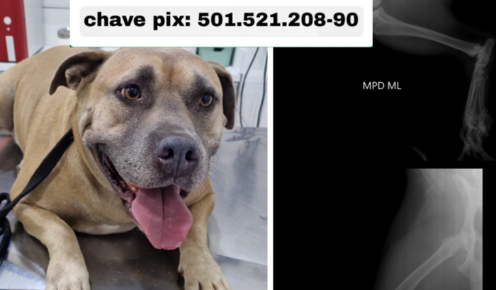 Ajude na cirurgia do thanos