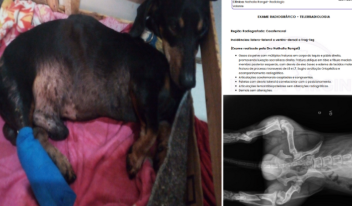 UMA NOVA CHANCE PARA O SCUBY