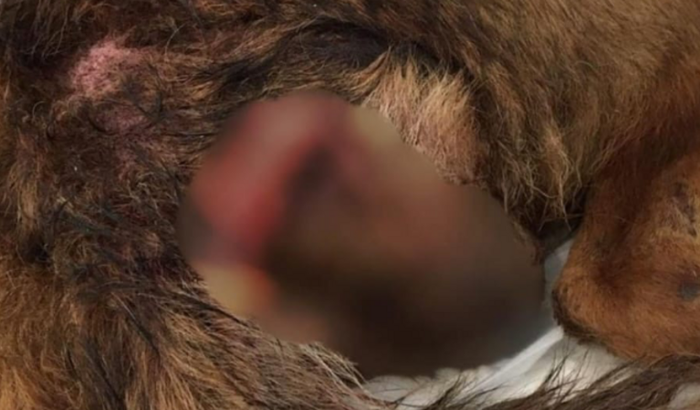 Vamos ajudar a famosinha ❤️