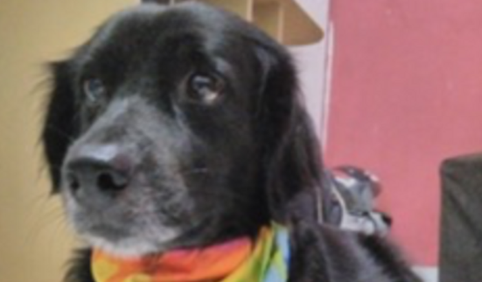 Ajuda para cirurgia de câncer e tratamento 