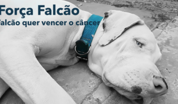 Falcão quer vencer o câncer!!!