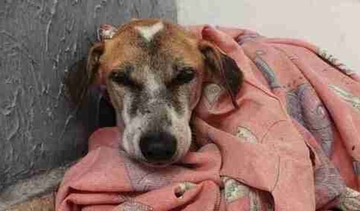 Doações para tratamento de câncer de vitória 