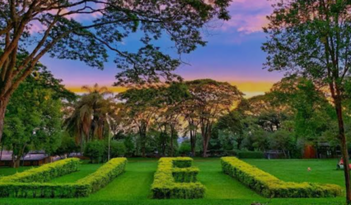 Me ajude a frequentar a universidade em que fui aceito