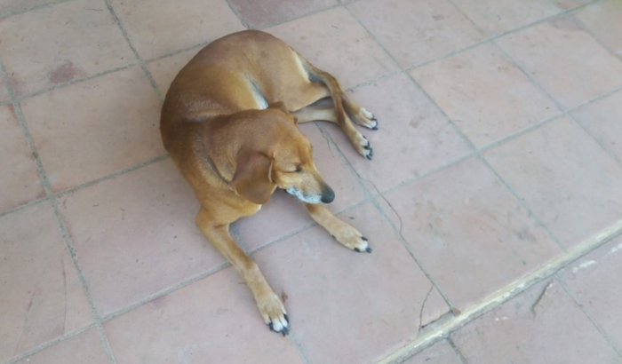 Cirurgia para salvar a May