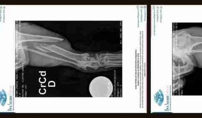 Ajude o Badu a operar