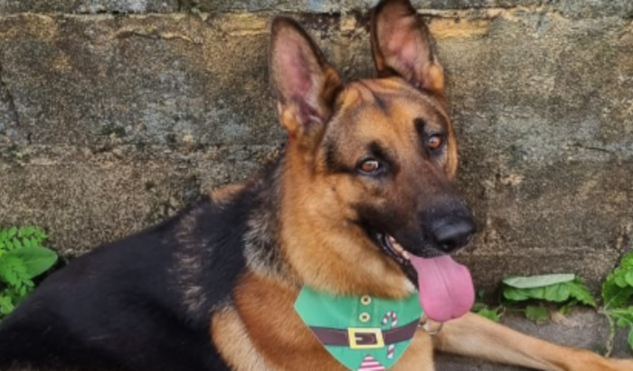 SOS Loki: Internação