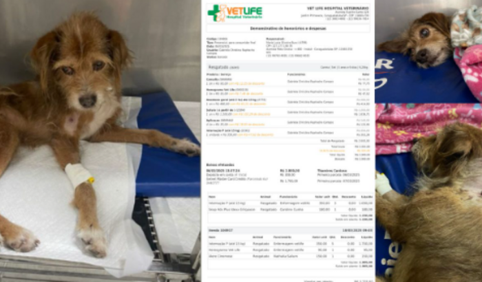 Ajude a salvar o FIAPO