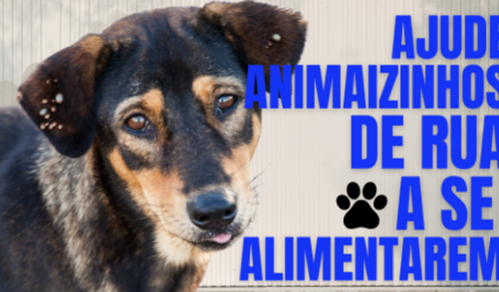 Vakinha Intuito de arrecadar alimentos pra cachorrinhos de rua