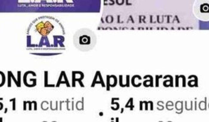 Todos pelas causa animais de rua