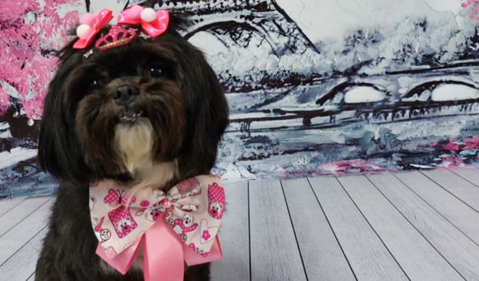 A Ully precisa de duas cirurgias.