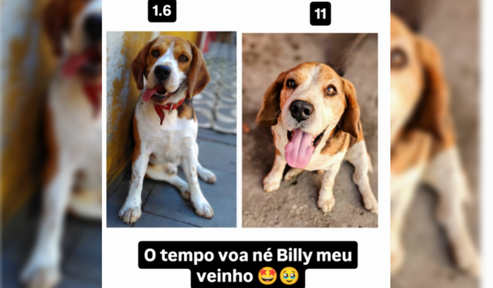 Ajude o Billy