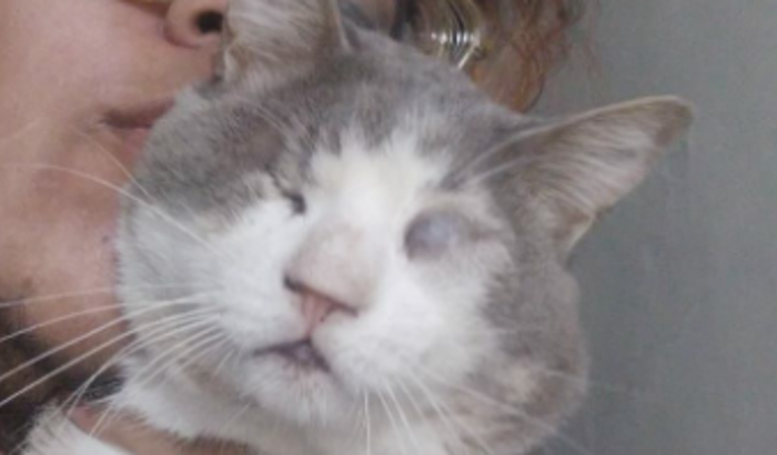 SUSHI PRECISA DE AJUDA!