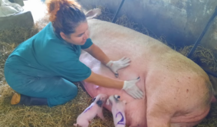 Ajude a Leila com o Doutorado no Canadá