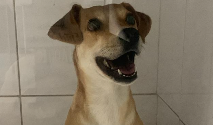 Ajuda para o Henrique!