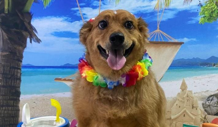 Ajude Maria para cirurgia de cálculo na bexiga