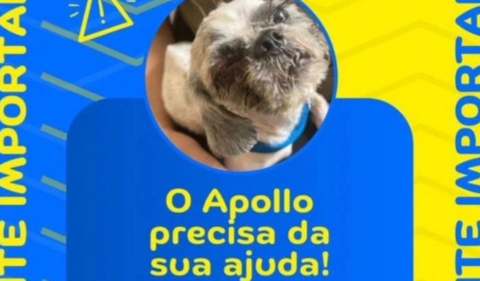 Ajudar com a cirurgia do apollo