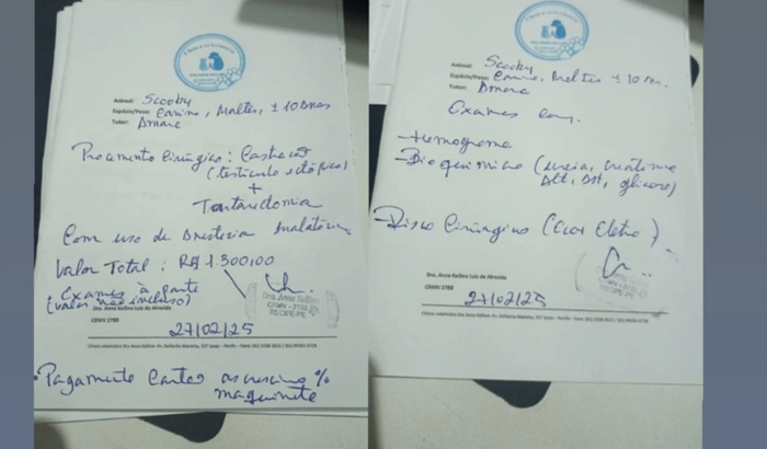 Cirurgia de castração e tartarectomia