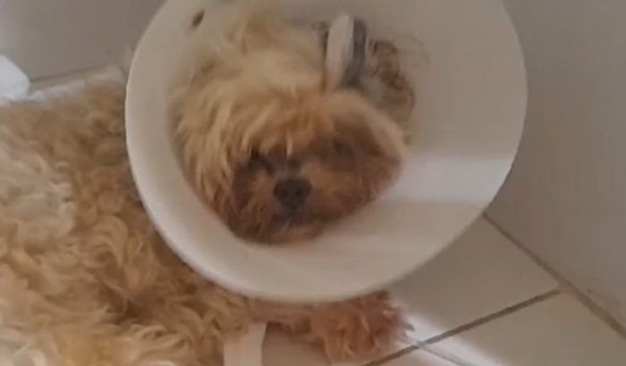 Cirurgia de quadril pra Don