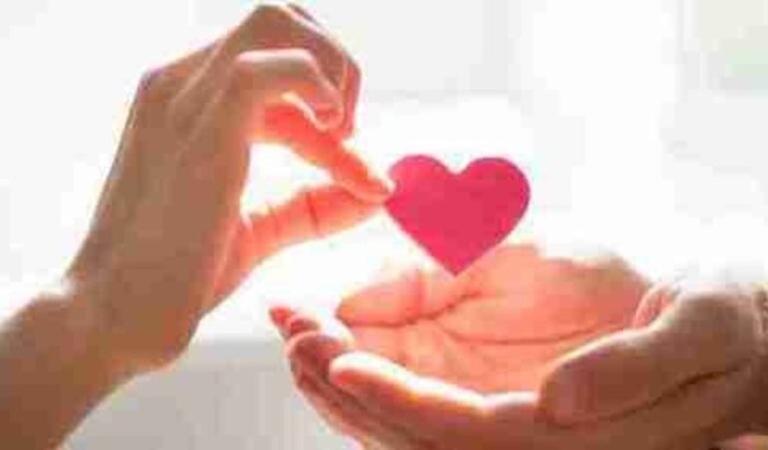 🚀 Ajude a Criar a AhruM – A Hamburgueria que Vai Revolucionar o Mercado!