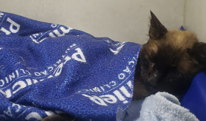 Ajuda para pagar o tratamento do Mike